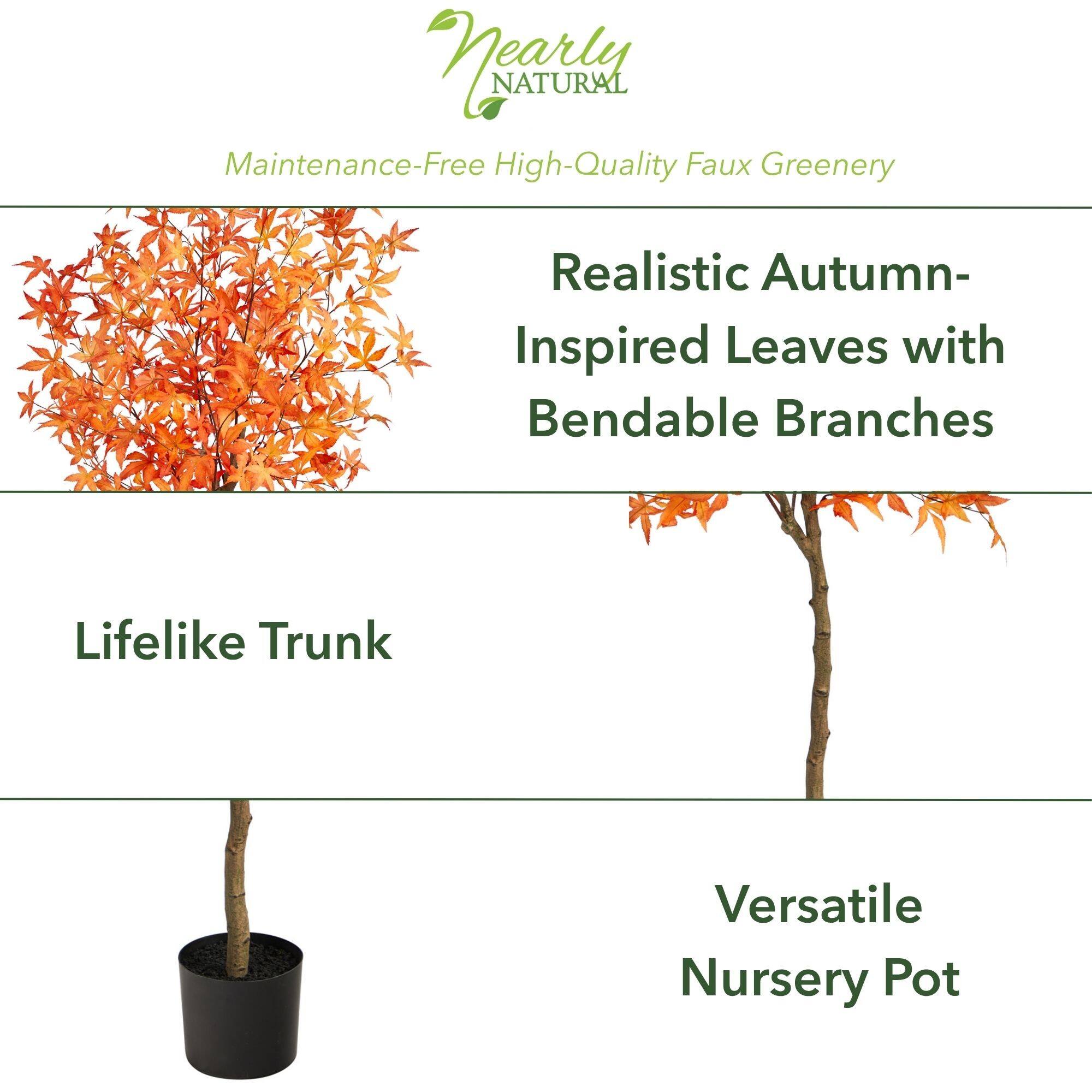 5ft. Potted Orange Autumn Maple Tree